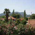 Garden *