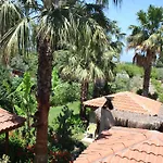 Bed and Breakfast Garden *