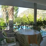 Garden *