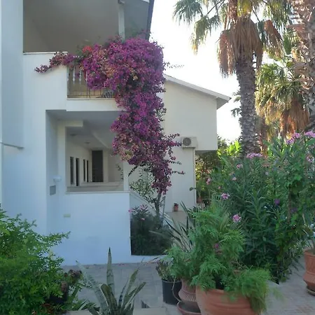 Garden * Дальян