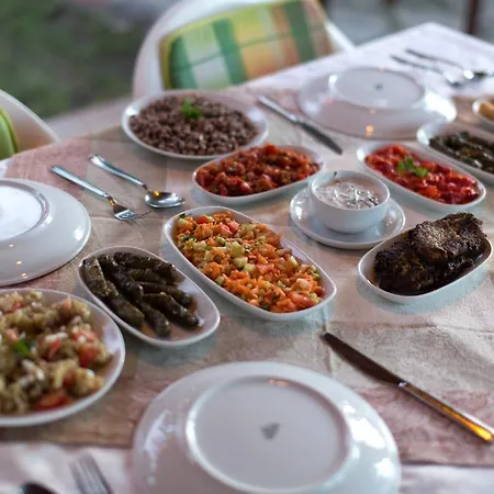 Alojamento de Acomodação e Pequeno-almoço Garden Dalyan