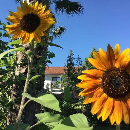 Garden Alojamento de Acomodação e Pequeno-almoço Dalyan